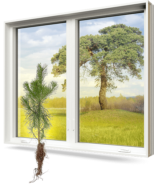Starting January 1st 2021, we will plant a tree for every single replacement window we manufacture and install. A PVC window with a tree root growing out of the bottom of it and green scenary in the background.